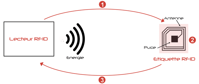 placement "carte verte" Shema-rfid